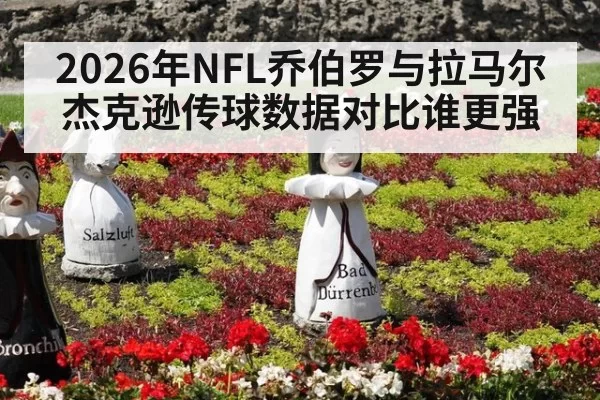 2026年NFL乔伯罗与拉马尔杰克逊传球数据对比谁更强（www.c7c7.app）
